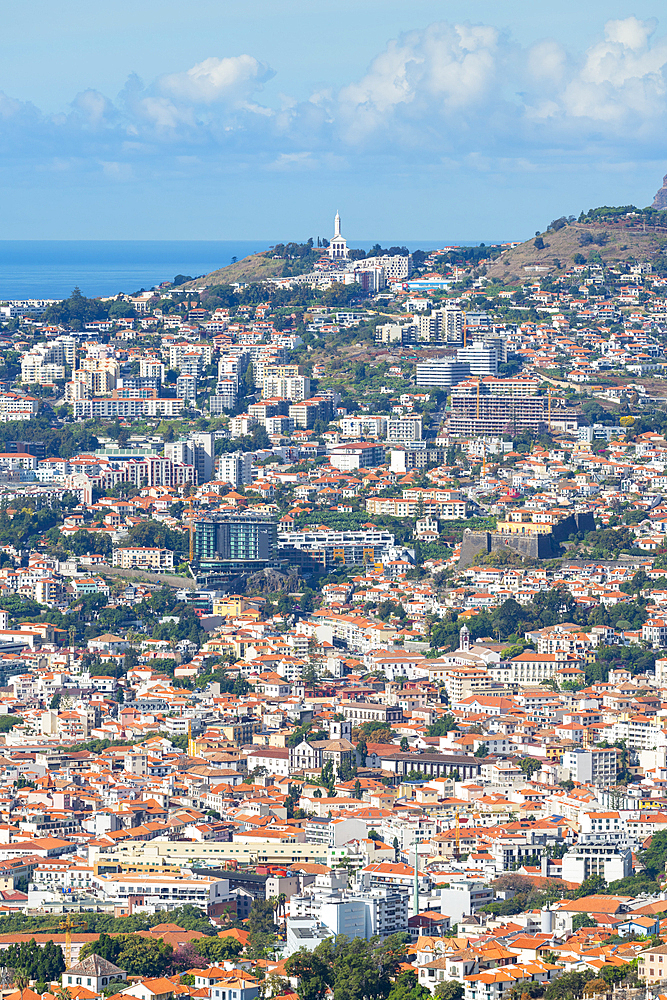 High angle view of Funchal on sunny day, Madeira, Portugal, Atlantic, Europe