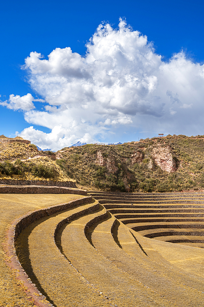 Ancient Inca terrace fields at Moray, Maras, Sacred Valley, Cuzco Region, Peru, South America