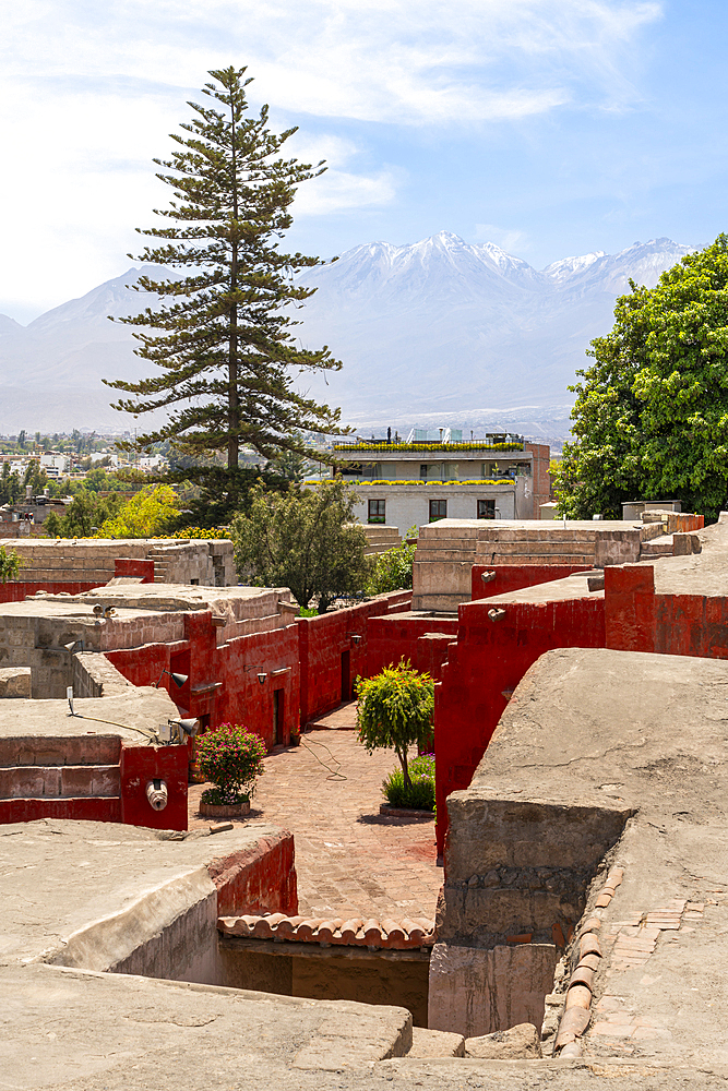 Chachani volcano rising above Santa Catalina Monastery, UNESCO World Heritage Site, Arequipa, Peru, South America