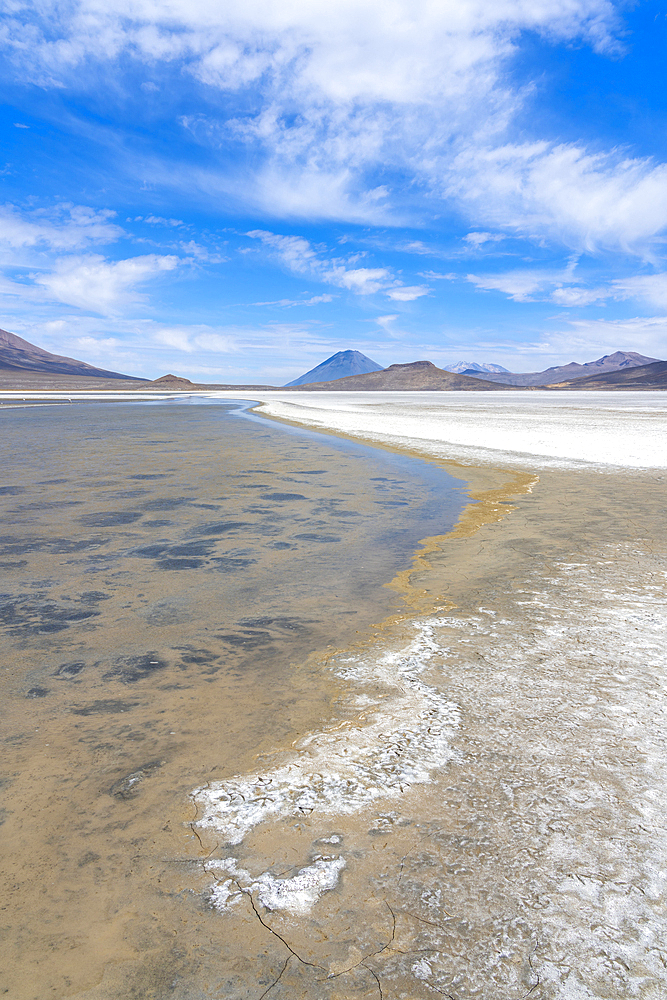 El Misti and Chachani volcanoes seen from salt flats of Salinas y Aguada Blanca National Reserve, Arequipa Region, Peru