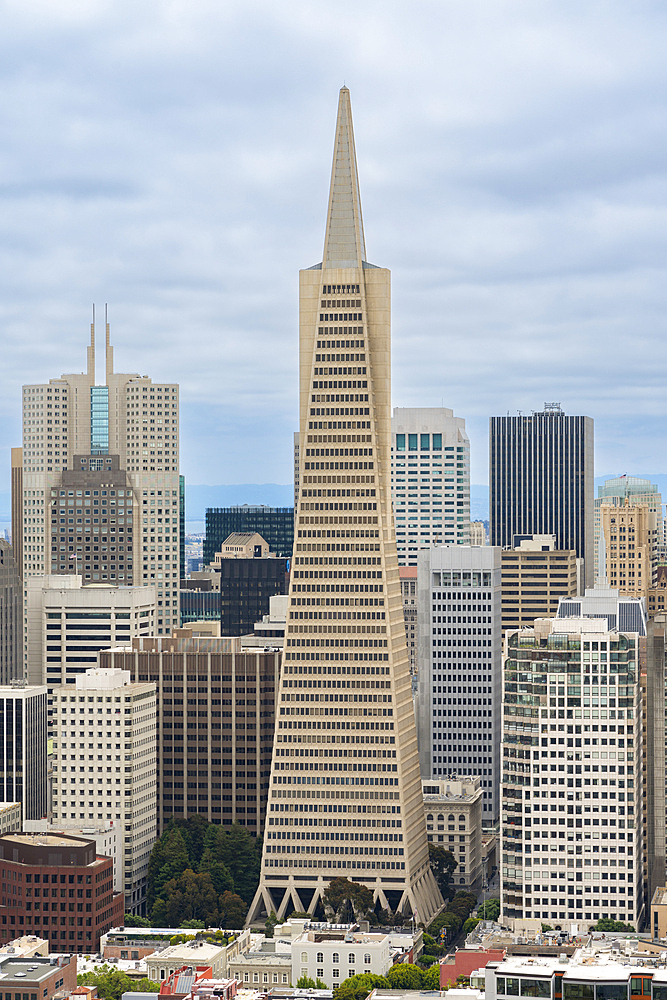 Transamerica Pyramid in city, San Francisco, California, United States of America, North America