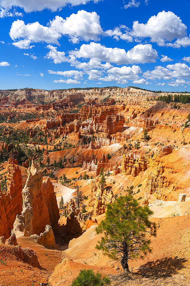 Scenic view of hoodoos and rock formations, Sunrise Point, Bryce Canyon National Park, Utah, USA