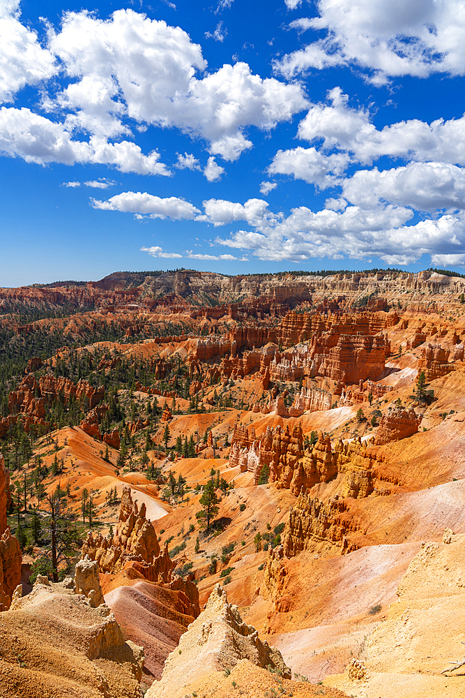 Scenic view of hoodoos and rock formations, Sunrise Point, Bryce Canyon National Park, Utah, United States of America, North America