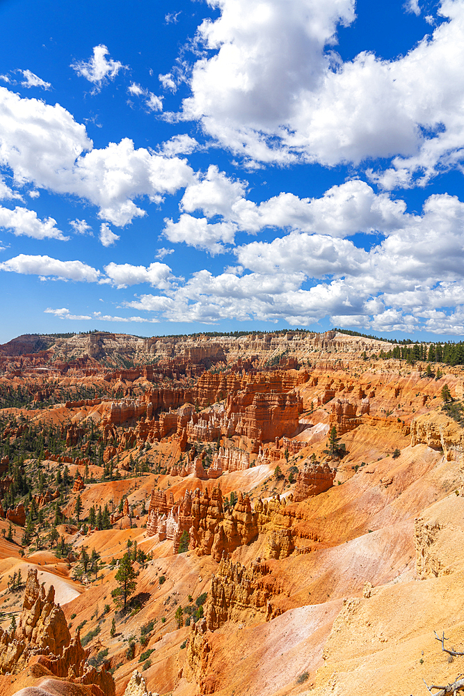 Scenic view of hoodoos and rock formations, Rim Trail near Sunrise Point, Bryce Canyon National Park, Utah, USA