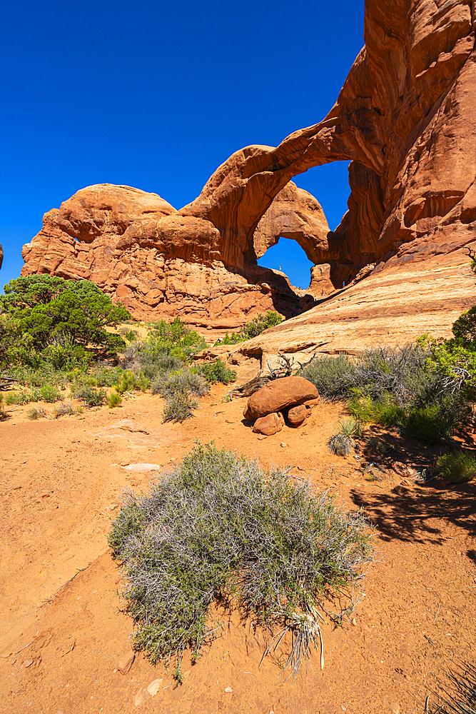 Double Arch in the Windows Section, Arches National Park, Moab, Utah, United States of America, North America