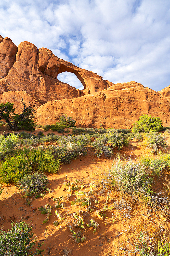 Skyline Arch, Arches National Park, Moab, Utah, United States of America, North America