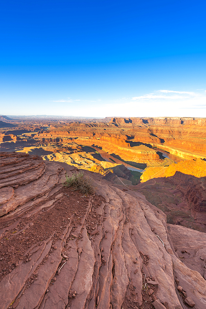 Bend of Colorado river at Dead Horse Point at sunrise, Dead Horse Point State Park, Utah, USA