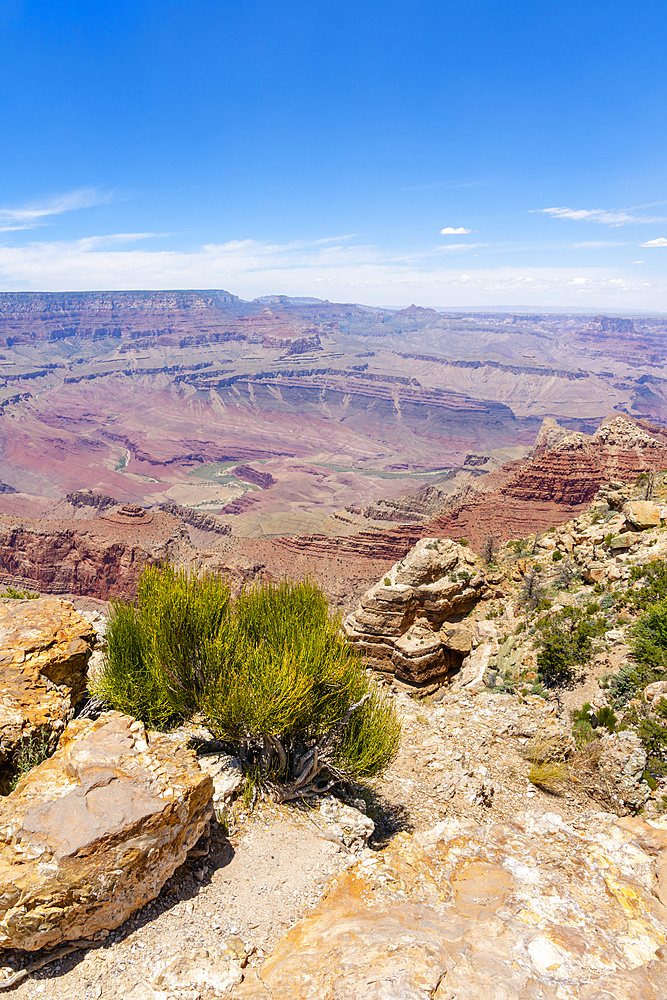 Grand Canyon, Lipan Point, Grand Canyon National Park, Arizona, USA