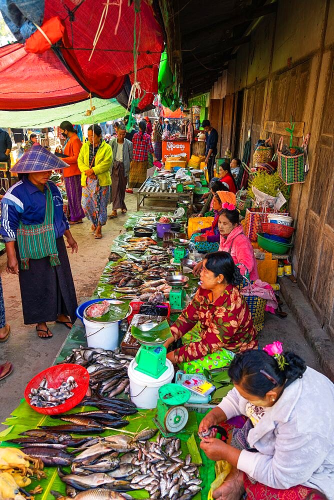 Burmese women selling fish at local market, Lake Inle, Nyaungshwe, Myanmar