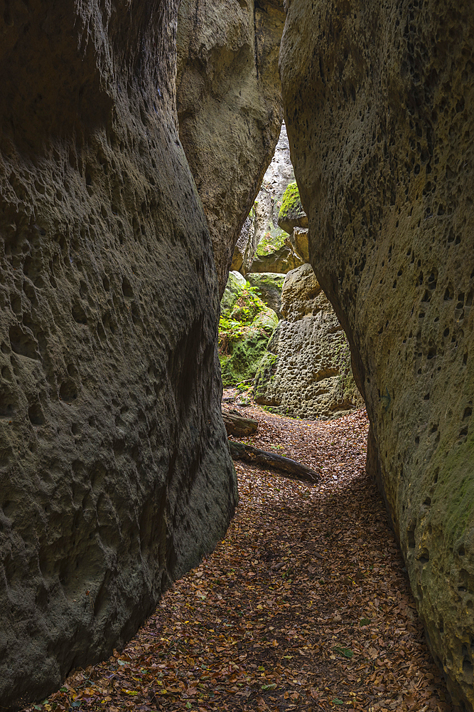 Rock maze, Mseno, Kokorinsko Protected Landscape Area, Central Bohemia, Czech Republic (Czechia), Europe