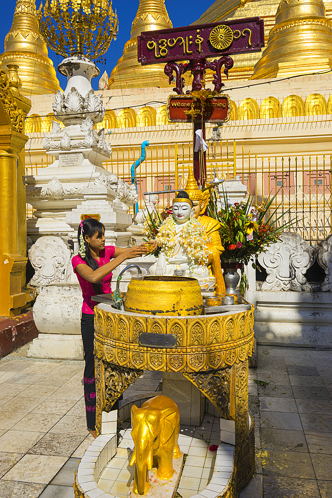 Woman pouring water over Buddha statue for luck, Shwedagon Pagoda, Yangon, Myanmar (Burma), Asia