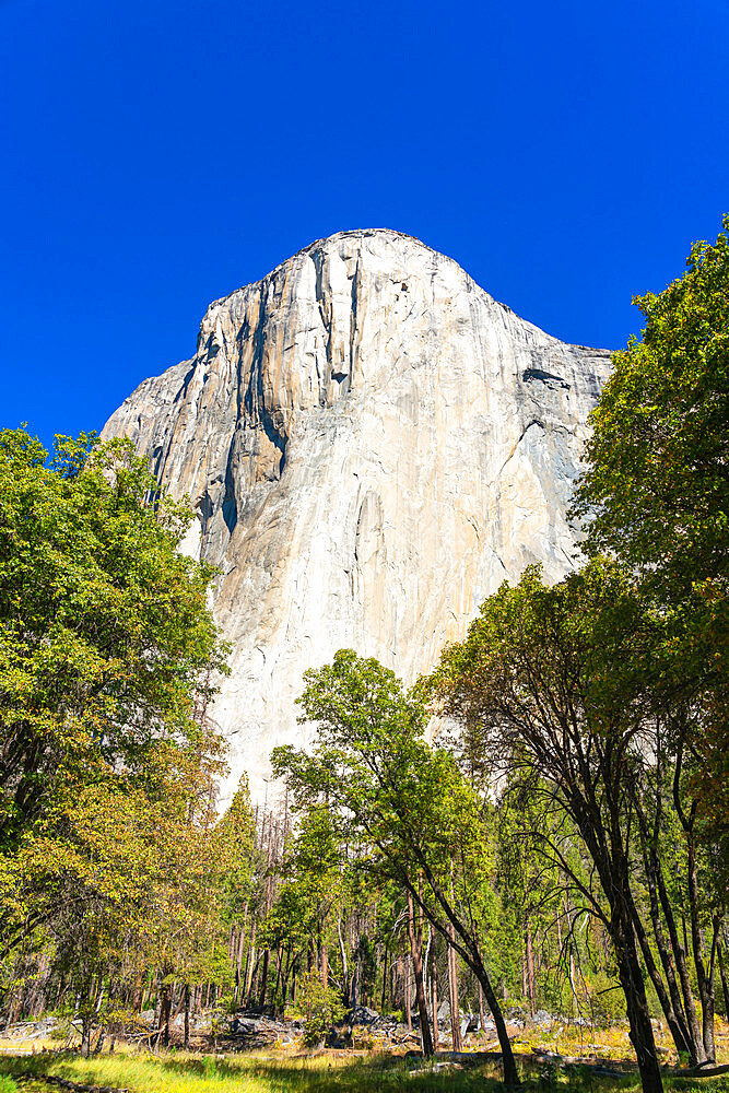 El Capitan granite rock formation, Yosemite National Park, California, USA