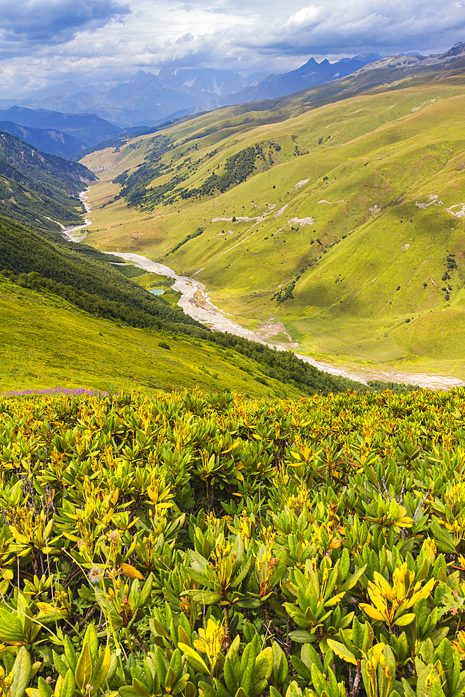 View of Adishchala River in Caucasian mountains from Chkhunderi Pass, Svaneti mountains, Georgia, Central Asia, Asia