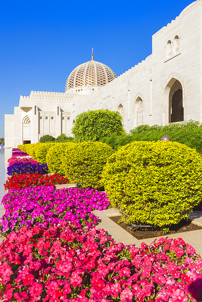 Flowers and dome of Sultan Gaboos Grand Mosque, Muscat, Oman, Middle East