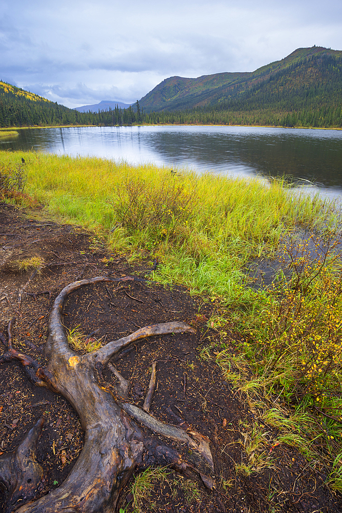 Triple Lakes, Denali National Park, Alaska, United States of America, North America