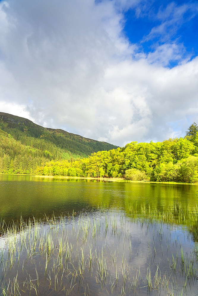 Loch Chon, Loch Lomond and The Trossachs National Park, Scottish Highlands, Scotland, United Kingdom, Europe