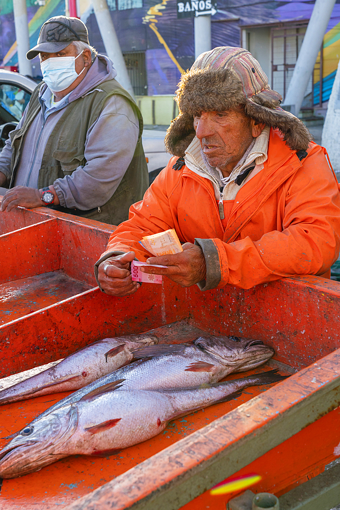 Senior man selling fresh fish at market, Caleta Portales, Valparaiso, Valparaiso Province, Valparaiso Region, Chile, South America