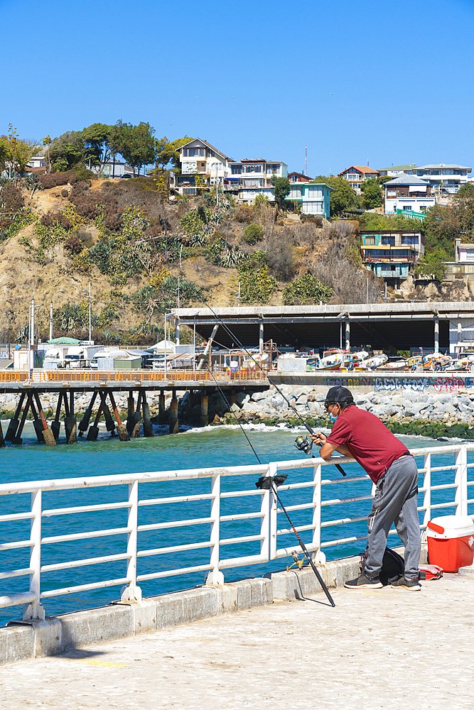 Fisherman fishing at pier, Caleta Portales, Valparaiso, Valparaiso Province, Valparaiso Region, Chile, South America