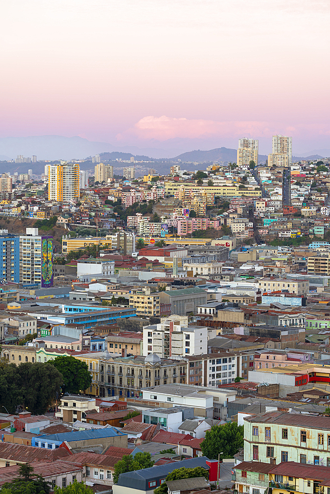 Elevated view of houses in city center at dusk, Valparaiso, Valparaiso Province, Valparaiso Region, Chile, South America