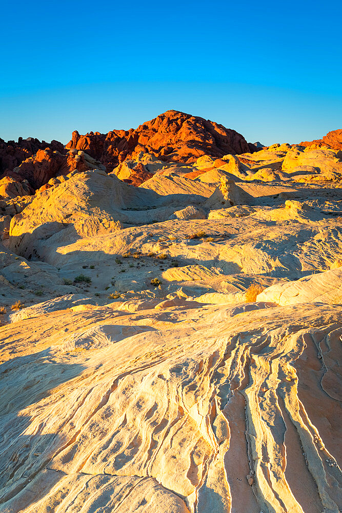 Red and white rock formations at Fire Canyon and Silica Dome at sunrise, Valley of Fire State Park, Nevada, Western United States, USA