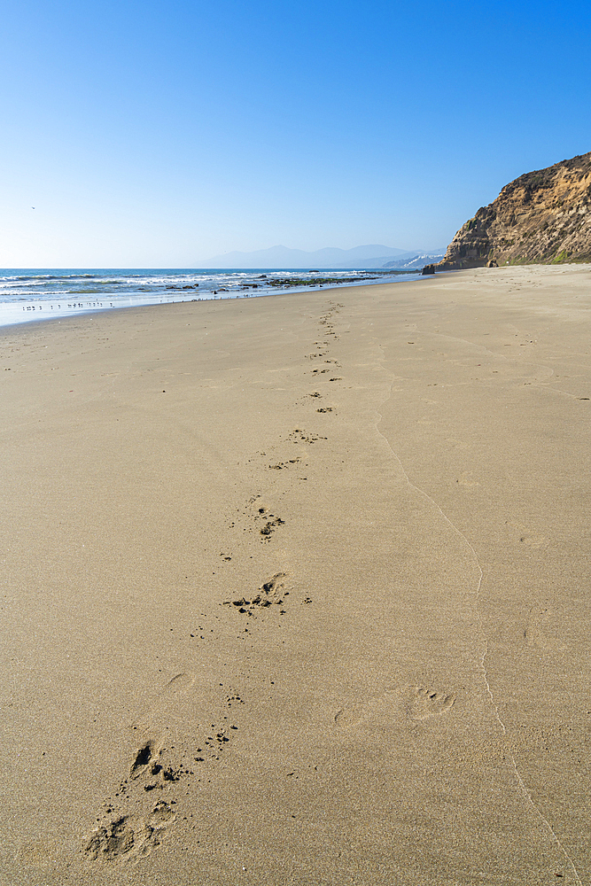 Footprints in sand at Quirilluca beach, Puchuncavi, Valparaiso Province, Valparaiso Region, Chile, South America