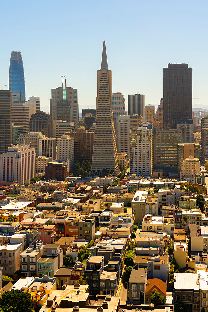 San Francisco skyline dominated by Transamerica Pyramid building seen from Coit Tower, San Francisco, California, USA