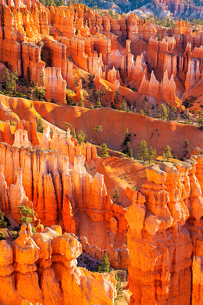 Detail of hoodoos and trees, Sunset Point, Bryce Canyon National Park, Utah, USA