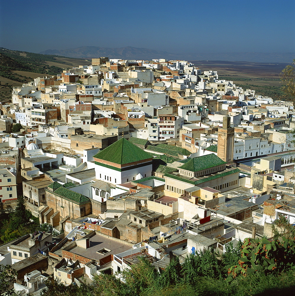 Aerial view over the green tiled roofs of the sacred city of Moulay Idriss, including the tomb and Zaouia of Moulay Idriss, Morocco, North Africa, Africa