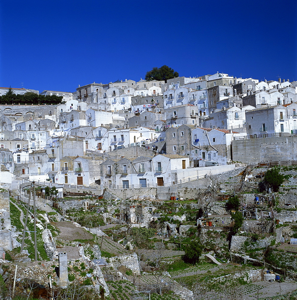 Houses of the village of Monte Sant Angelo in Puglia, Italy, Europe