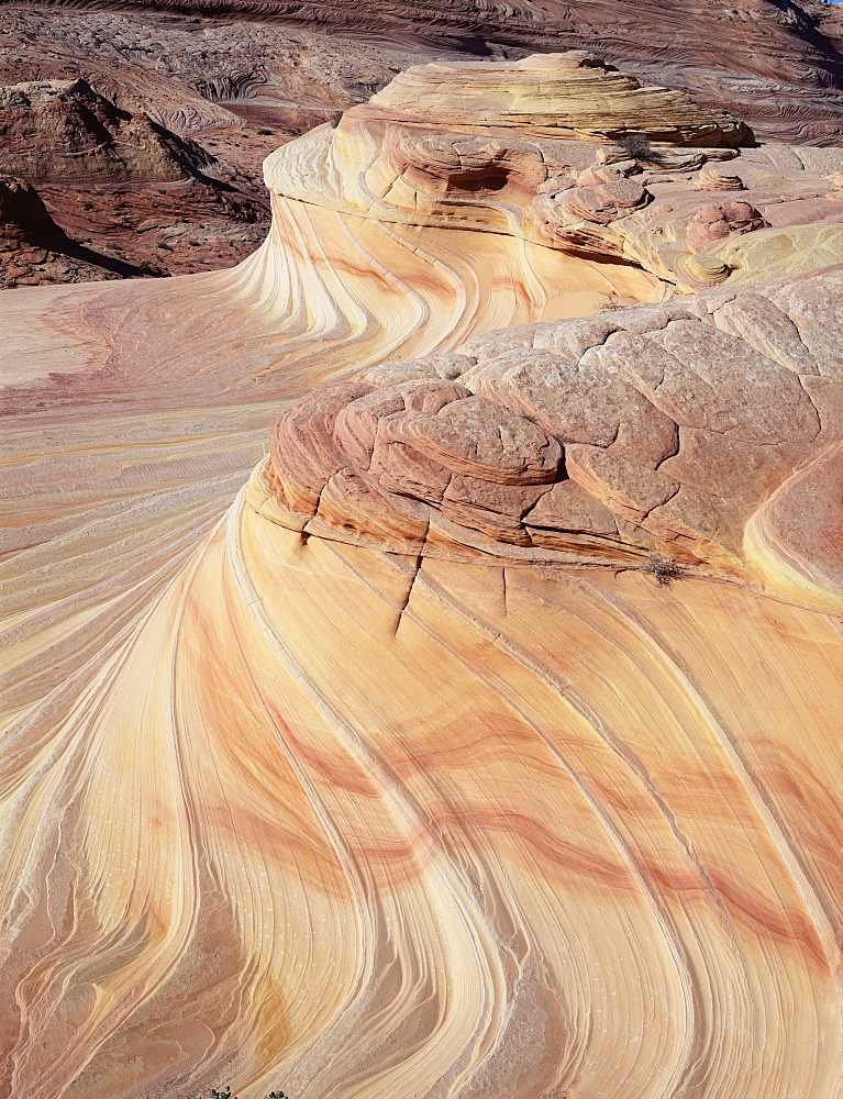 Rock formation known as Swirls, on Colorado Plateau, Arizona, United States of America (U.S.A.), North America