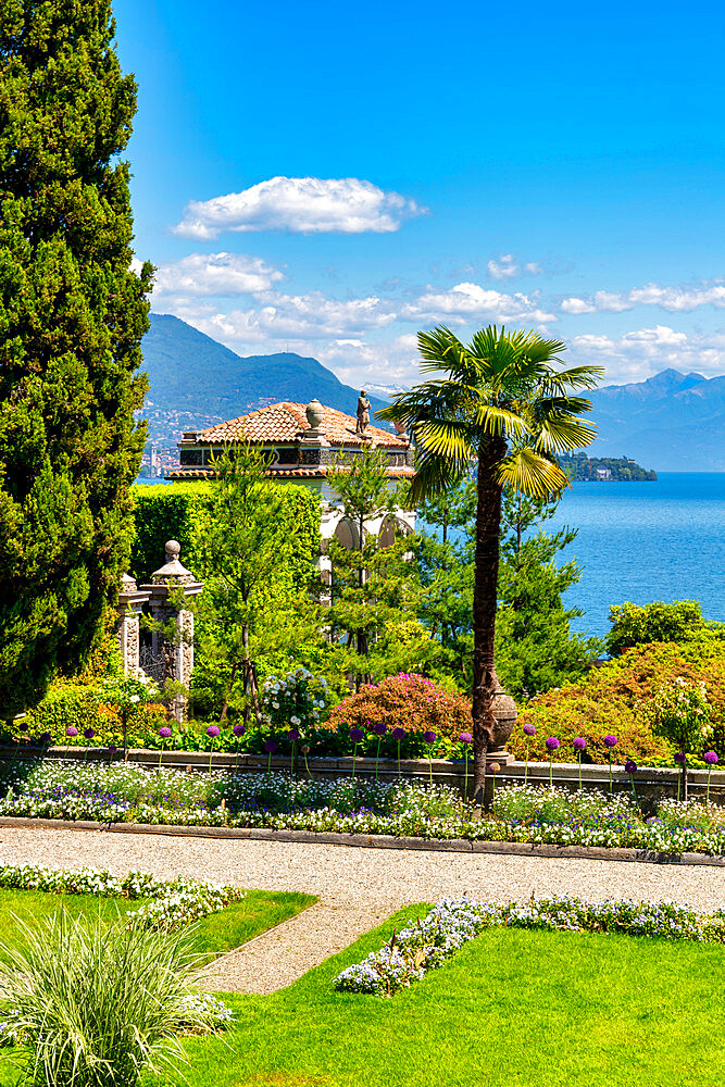 The gardens of Borromeo Palace, Isola Bella, Lake Maggiore, Verbania district, Piedmont, Italian Lakes, Italy, Europe