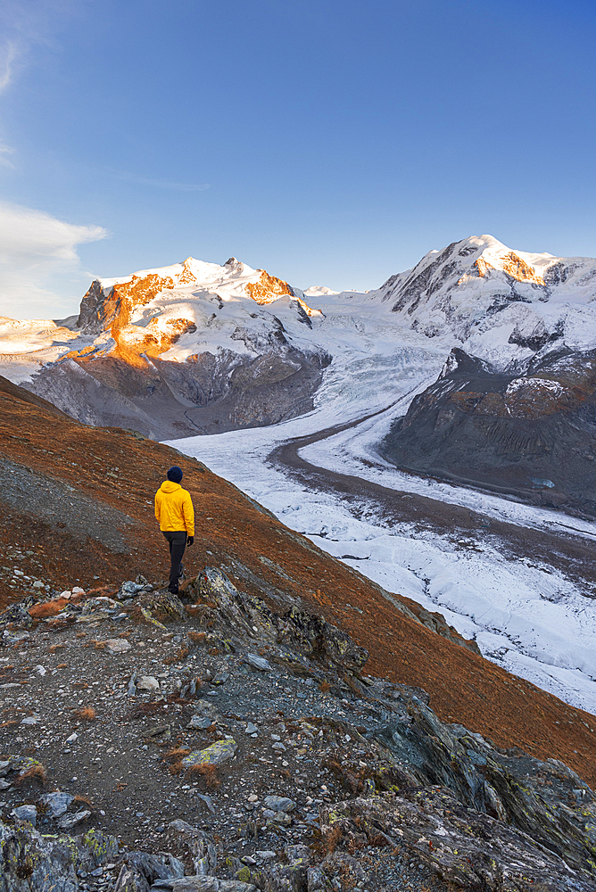 Hiker stands on rocks admiring Monte Rosa massif, Gorner Glacier (Gornergletscher) and Lyskamm peaks at sunset, Riffealp, Zermatt, canton of Valais, Swiss Alps, Switzerland, Europe