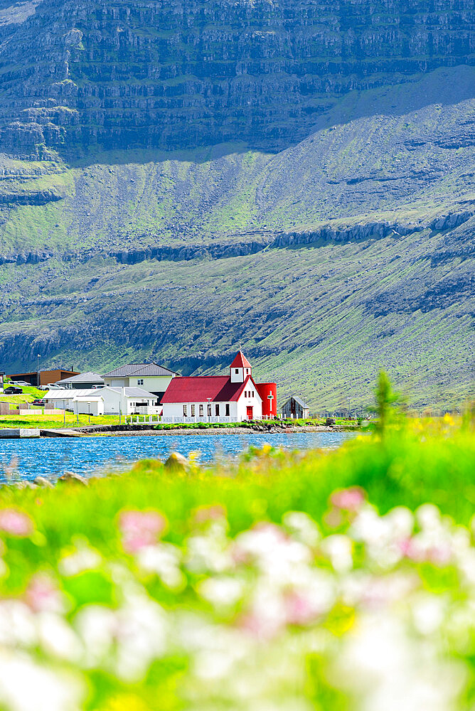 View of the church with grasses and flowers in the foreground, Hvannasund, Vidoy island, Faroe Islands, Denmark, Europe