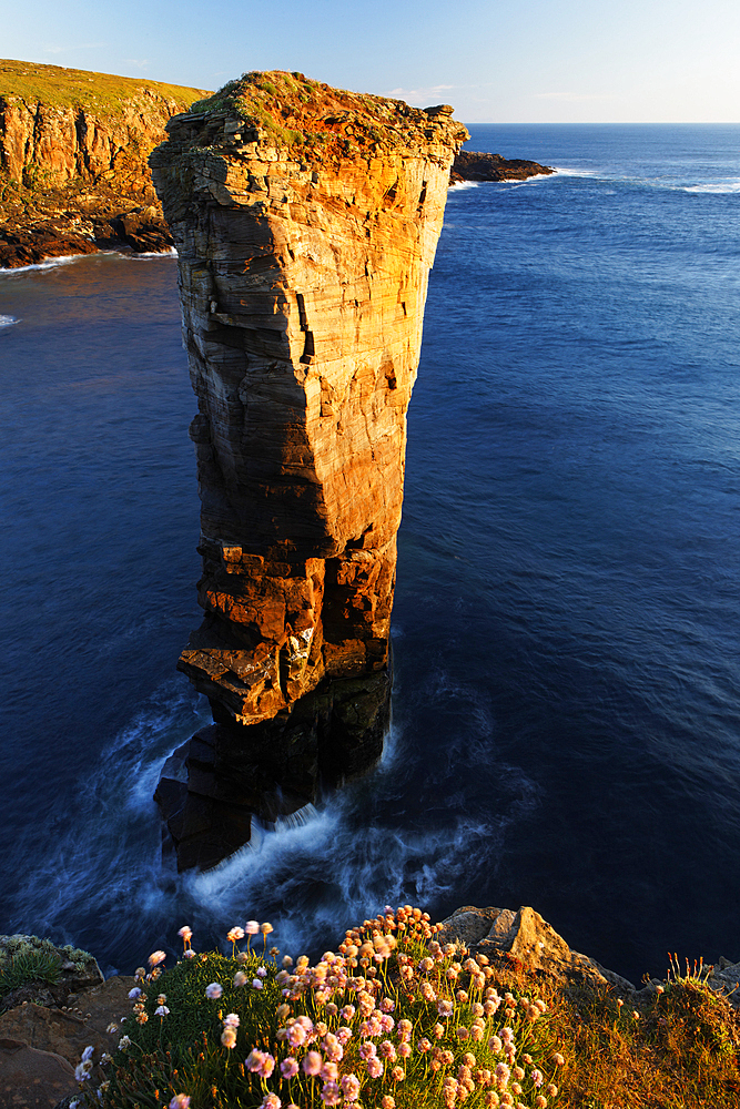 Yesnaby Sea Stack, West Mainland, Orkney Islands, Scotland, United Kingdom, Europe