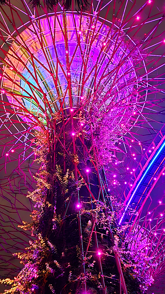 Gardens By The Bay light show, Singapore