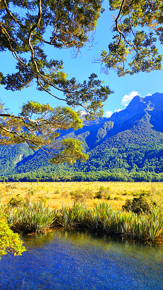 Mirror Lakes, near Milford, South Island, New Zealand