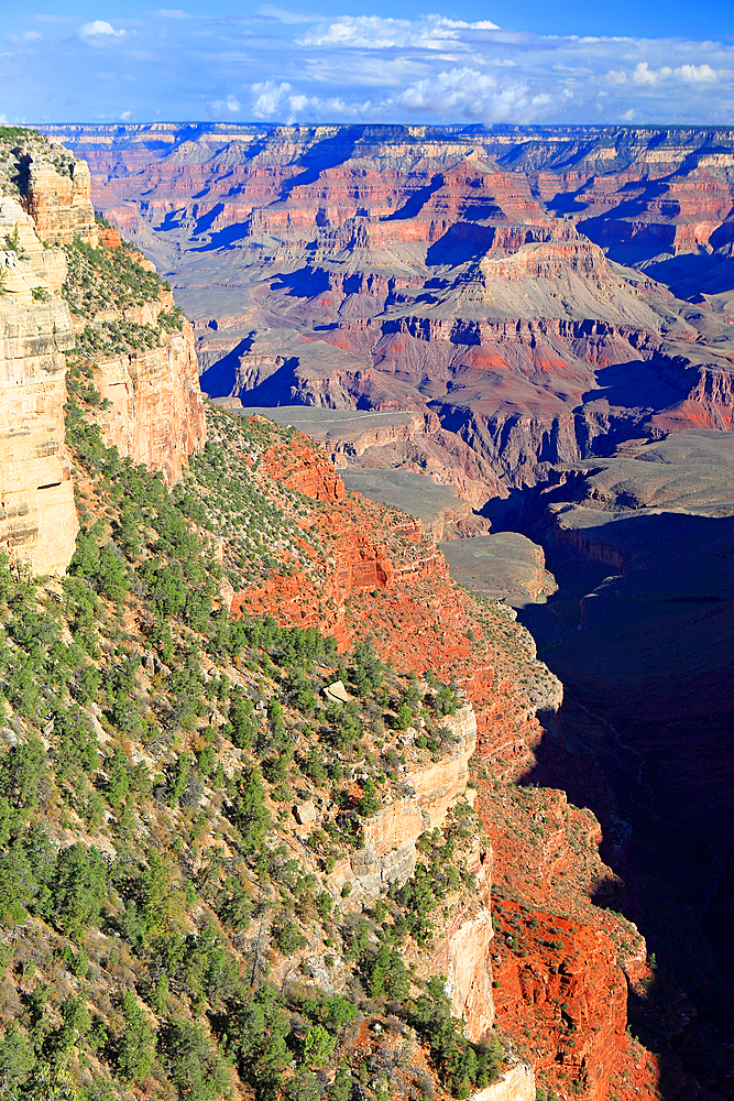 Grand Canyon from South Rim, Arizona, USA