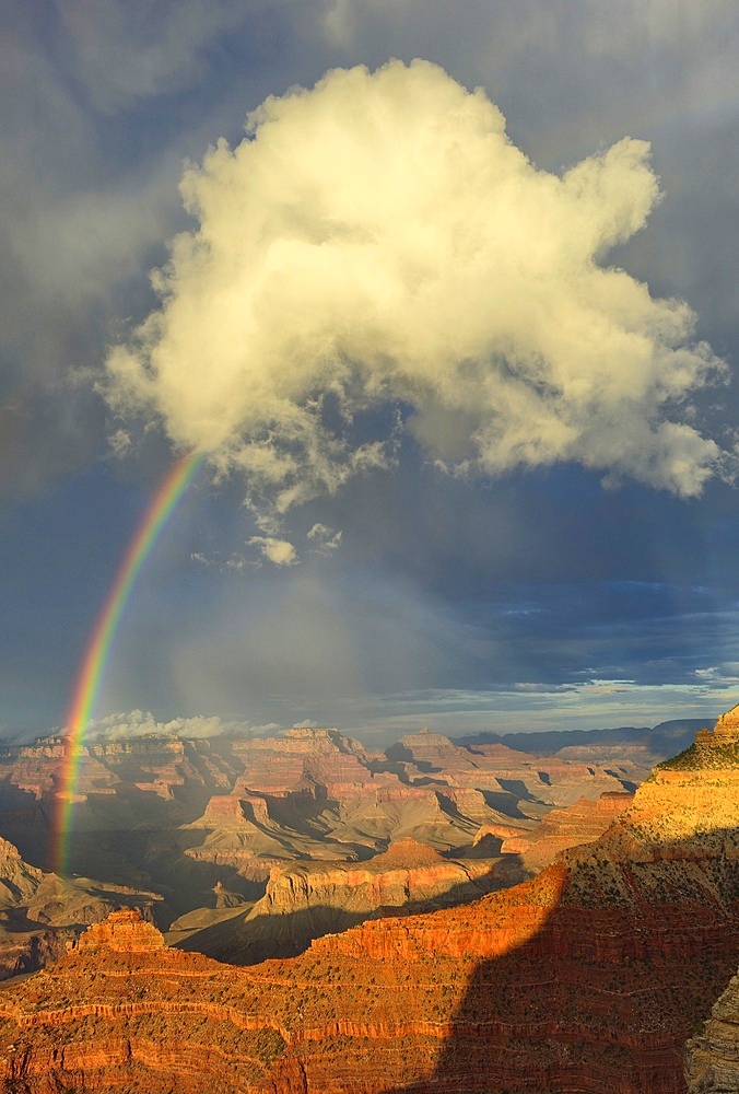 Grand Canyon, Arizona, USA
