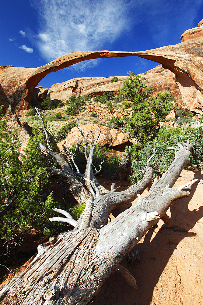 Landscape Arch, Arches National Park, Utah, United States of America, North America