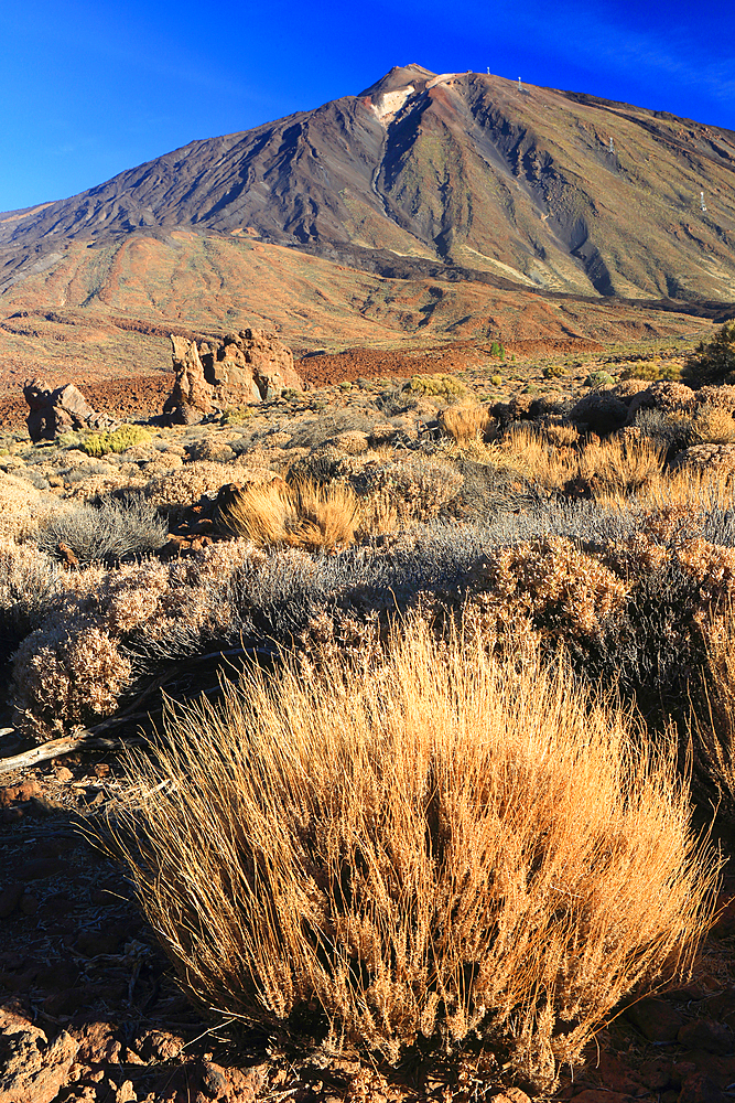 El Teide National Park, Tenerife, Canary Islands, Spain