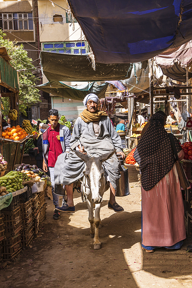 Thebes, Luxor, Egypt. February 24, 2022. Man on a donkey in a market in Luxor.