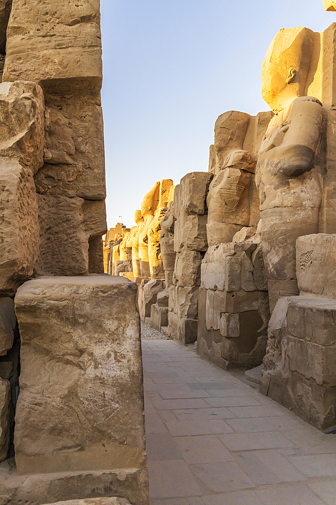 Karnak, Luxor, Egypt. Statues lined up at the Karnak Temple complex in Luxor.