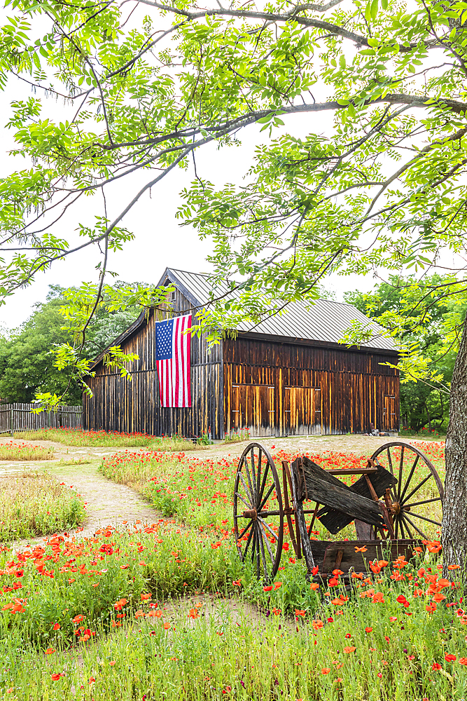 Castroville, Texas, USA. April 12, 2021. Large American flag on a barn in the Texas hill country.