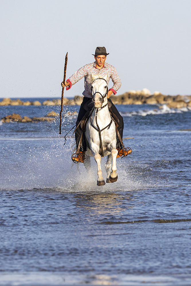 Saintes-Maries-de-la-Mer, Bouches-du-Rhone, Provence-Alpes-Cote d'Azur, France. July 5, 2022. Man riding a horse through the water in the Camargue.