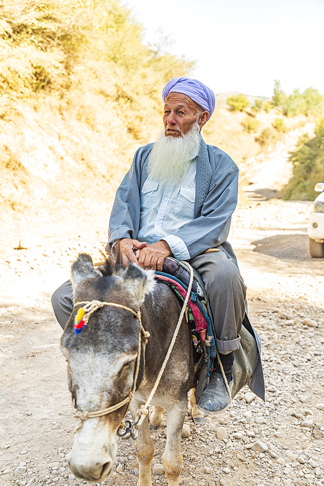 Gysh, Khatlon Province, Tajikistan. August 13, 2021. Bearded senior man on a donkey in rural Tajikistan. Editorial Use Only