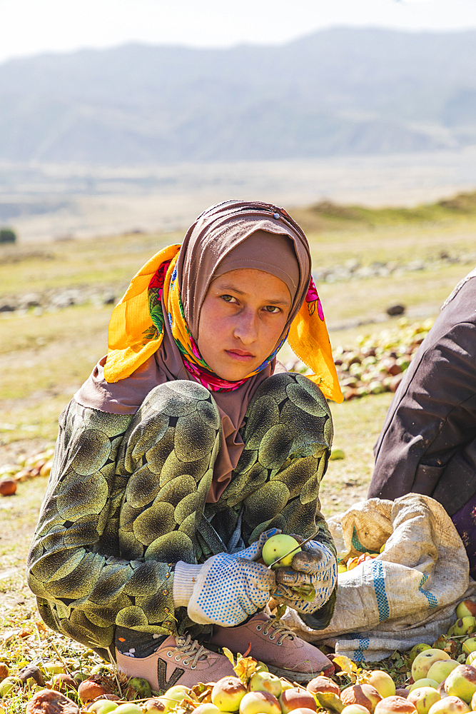 Momandiyon, Khatlon Province, Tajikistan. August 13, 2021. Girl slicing pears to be dried in the sun. Editorial Use Only