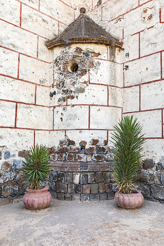 San Ignacio, Mulege, Baja California Sur, Mexico. Potted plants in a courtyard at the San Ignacio Mission.