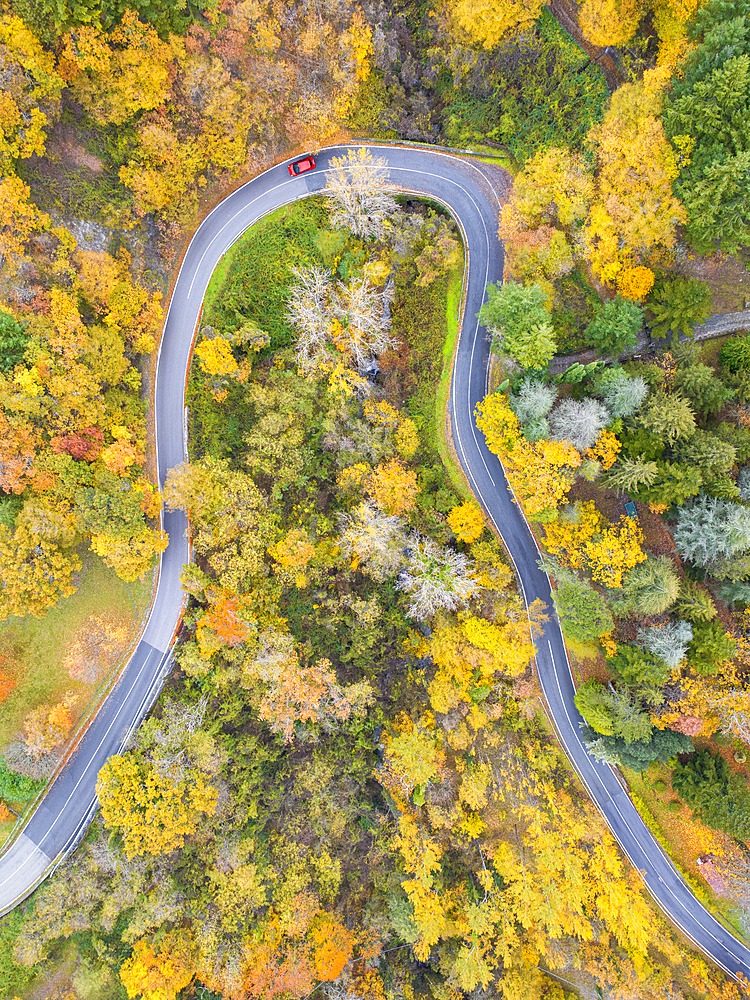 A car driving along the mountain road on an autumn day, Tuscan-Emilian Apennine National Park, Tuscany, Italy, Europe