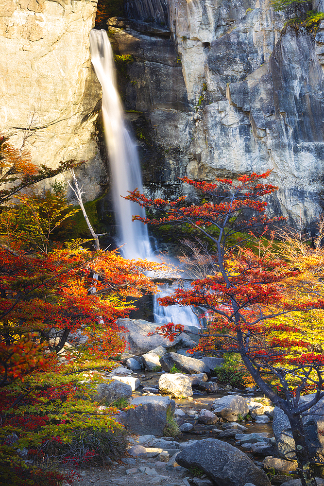 Chorrillo del Salto waterfall framed by autumn trees, El Chalten, Parque Nacional Los Glaciares, Santa Cruz, Patagonia Argentina, Argentina, South America