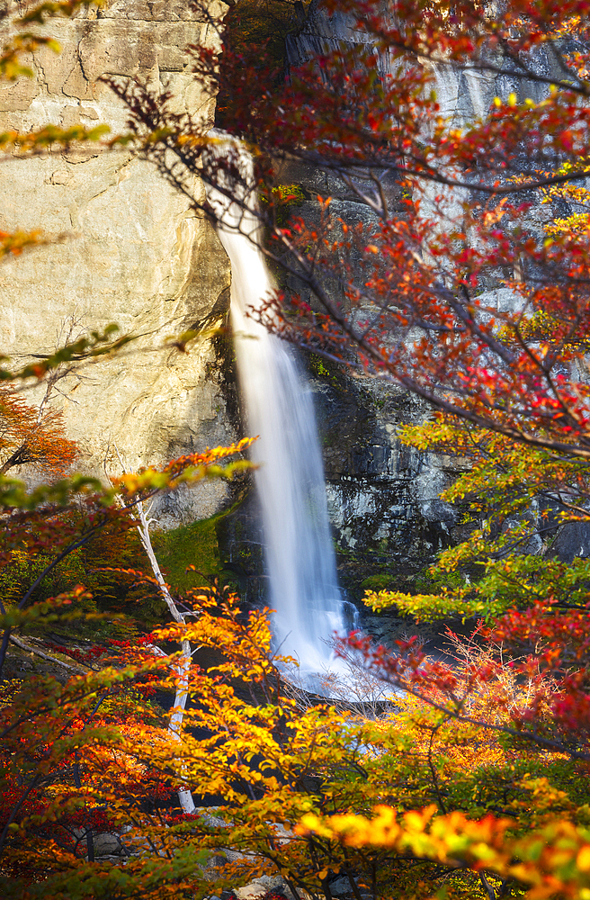 Chorrillo del Salto waterfall framed by autumn trees, El Chalten, Parque Nacional Los Glaciares, Santa Cruz, Patagonia Argentina, Argentina, South America